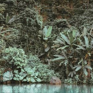 Meet your Posher, Nalee